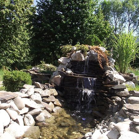 فيشكا Spa Hotel Zoryani Karpaty المظهر الخارجي الصورة